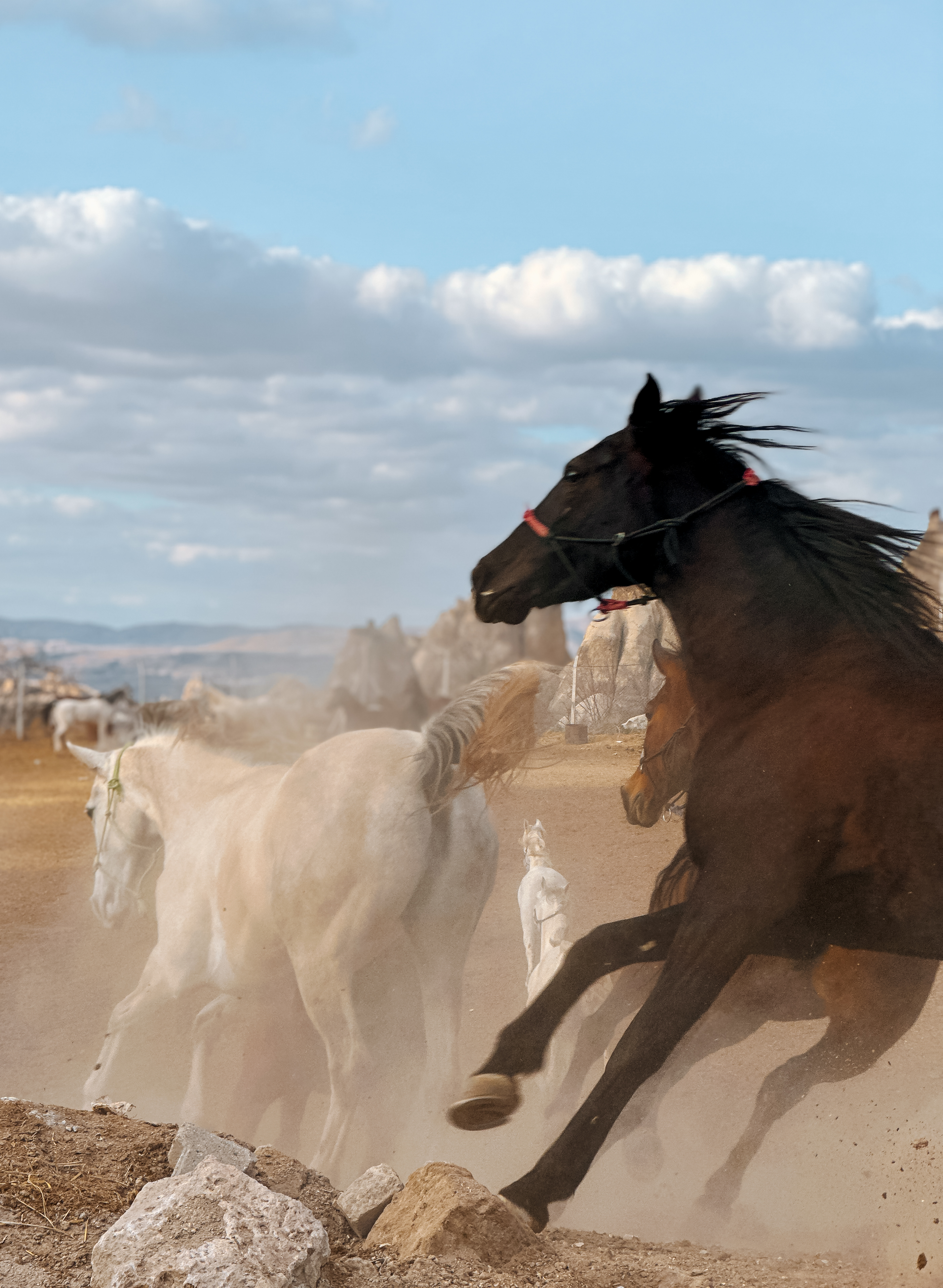 Dörtnala (Gallop) Through Cappadocia Route