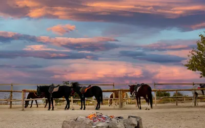 Göreme Moonlight Horse Ranch
