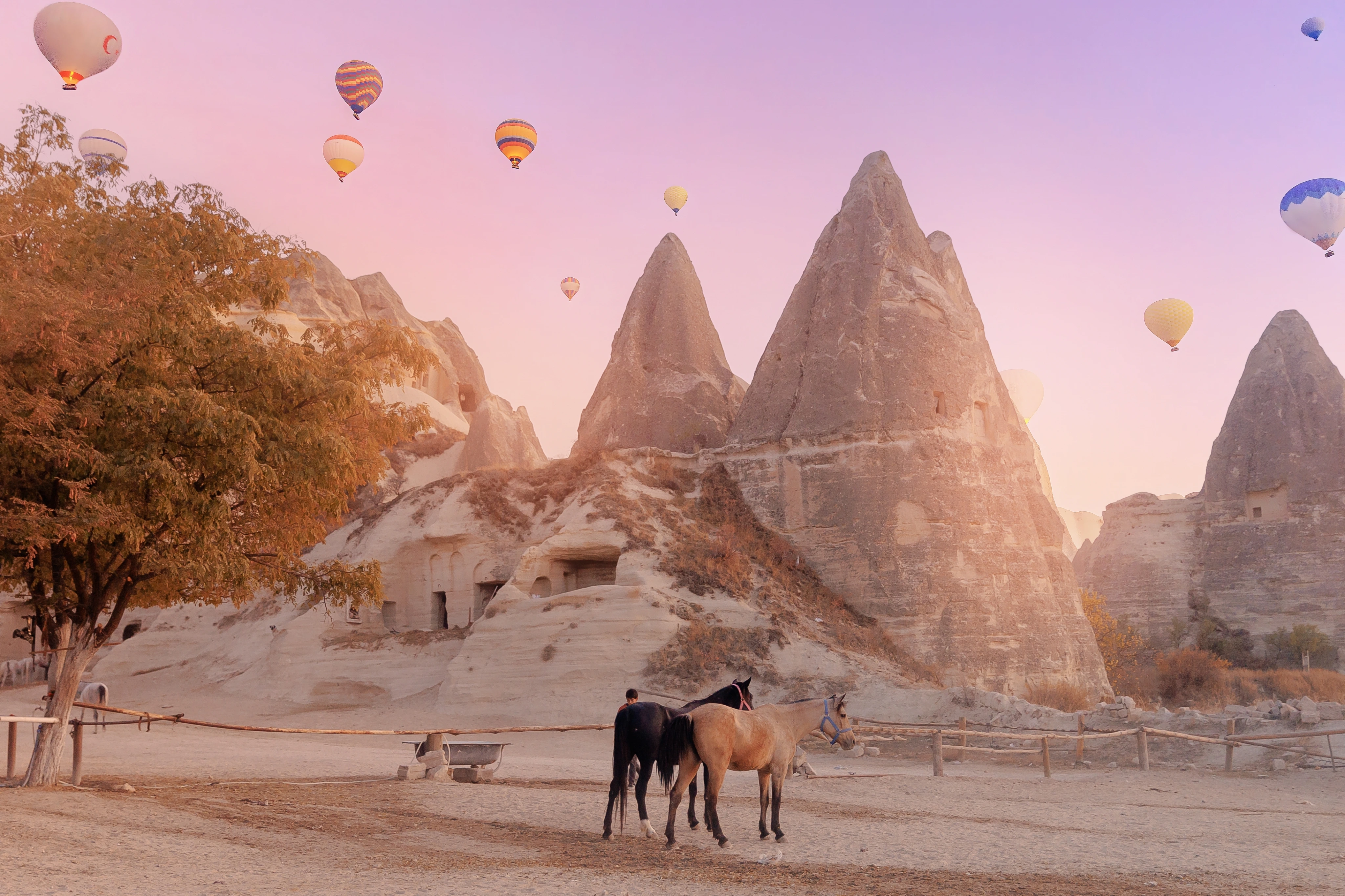 Chinese Year of the Horse Festival in Cappadocia